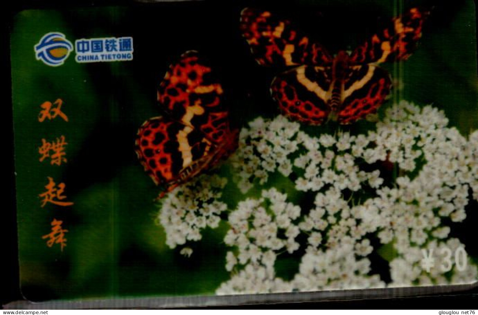 TELECARTE ETRANGERE....PAPILLON... - Butterflies