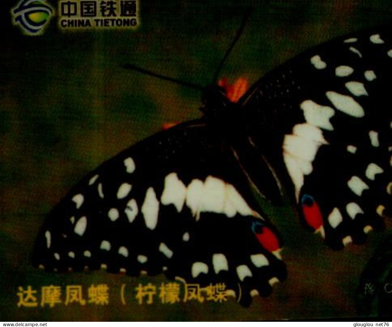 TELECARTE ETRANGERE....PAPILLON... - Butterflies