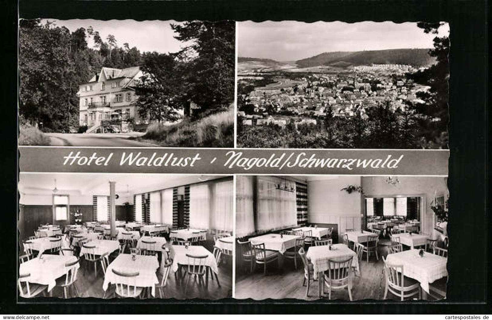 AK Nagold / Schwarzwald, Hotel Waldlust, Ortsansicht Aus Der Vogelschau  - Nagold