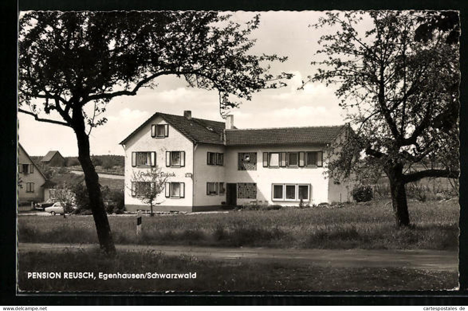 AK Egenhausen / Schwarzwald, Hotel-Pension Reusch  - Other & Unclassified