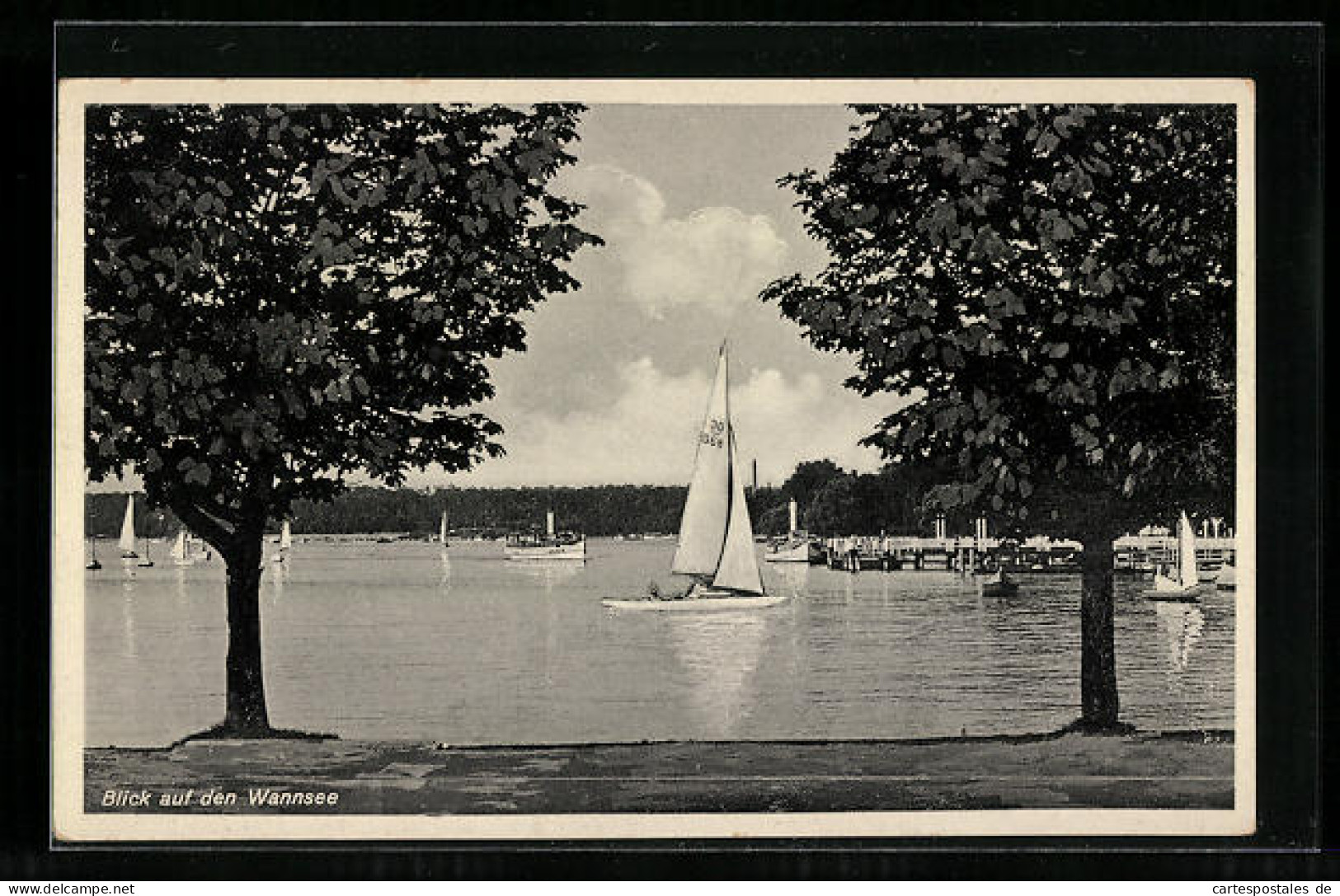 AK Berlin-Wannsee, Dampfer Und Segelboote Auf Dem Wannsee  - Wannsee