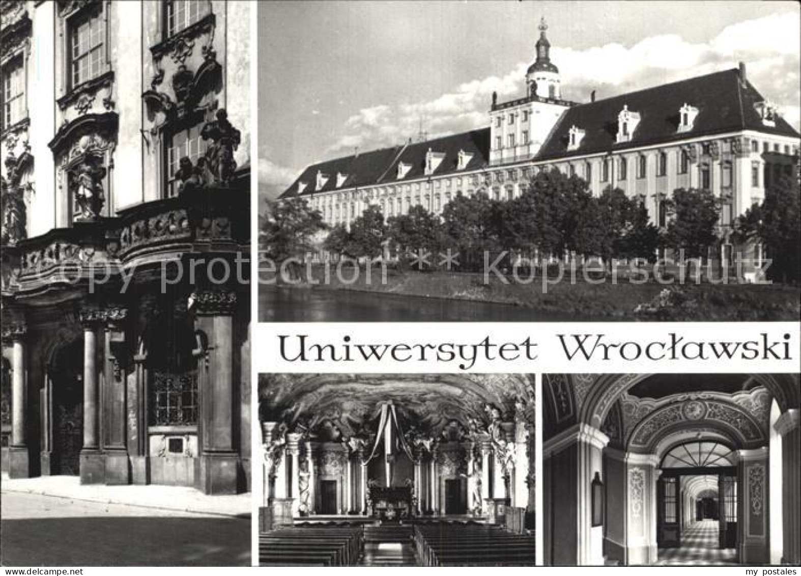 72520221 Wroclaw Universitaet  - Poland