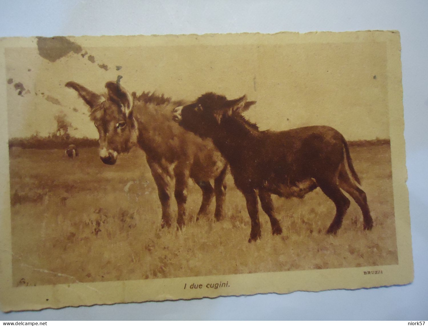 ITALY  POSTCARDS I DUE CUGIRI  DONKEYS POSTMARK NAPOLI 1935 AND POLLA - Donkeys