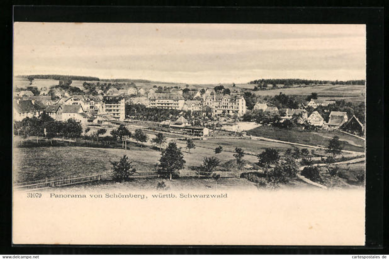 AK Schömberg / Schwarzwald, Panorama  - Schömberg