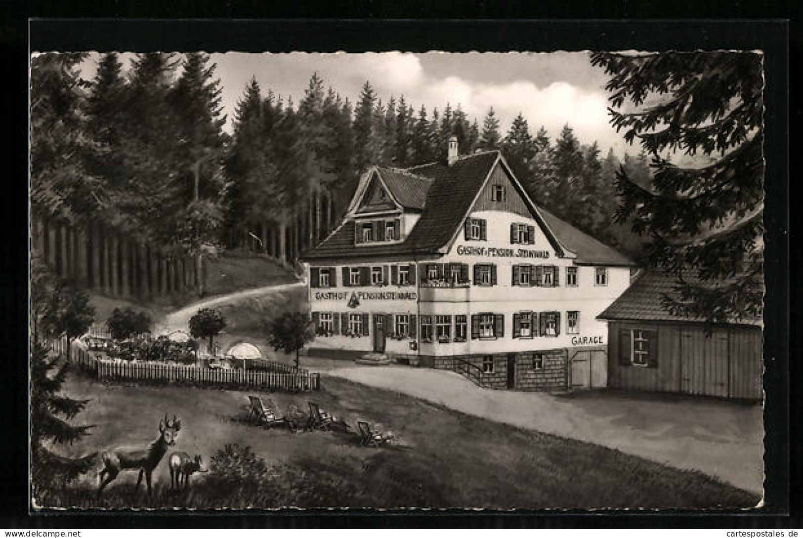 AK Freudenstadt / Schwarzwald, Gasthof Und Pension Steinwald  - Freudenstadt