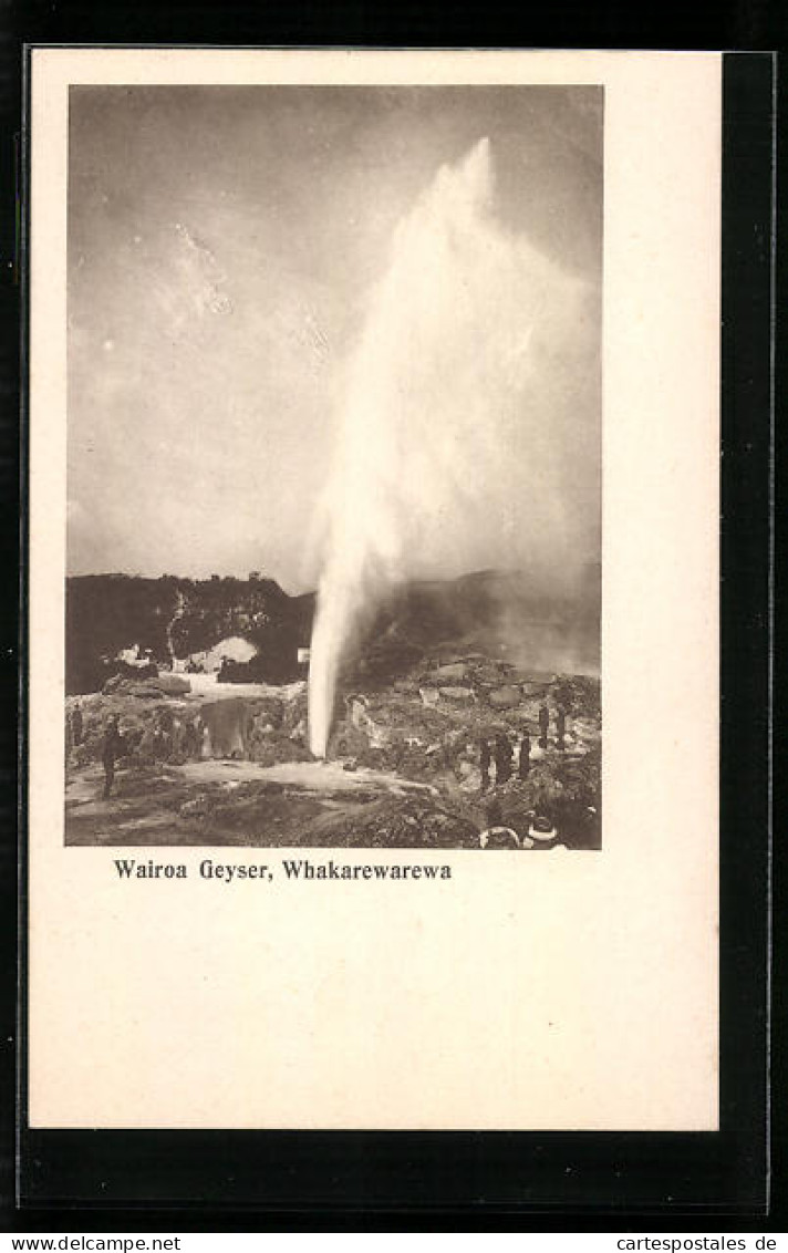 AK Whakarewarewa, Wairoa Geyser, Geysir  - Nuova Zelanda