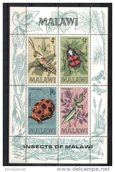 Malawi - 1970 Insects Block MNH__(TH-2057) - Malawi (1964-...)