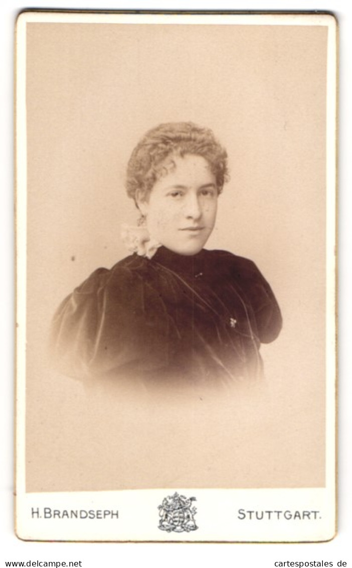 Fotografie H. Brandseph, Stuttgart, Marienstrasse 36, Hübsche Dame Mit Lockigem Haar Im Schwarzen Kleid Mit Puffärme  - Anonymous Persons