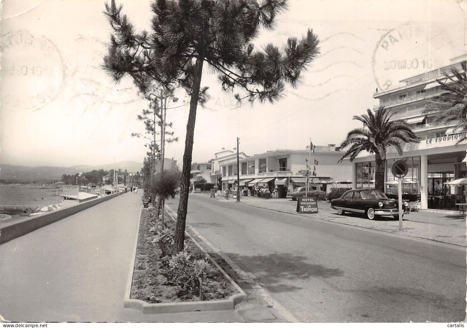 06-JUAN LES PINS-N 586-D/0089 - Juan-les-Pins