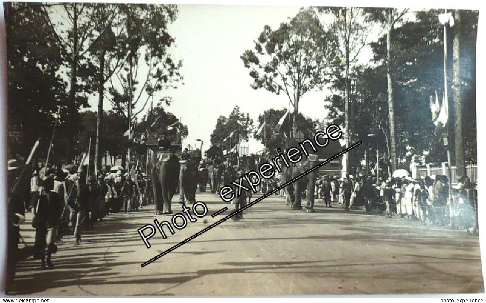 Photo Evénement Couronnement Royauté Elephant Animal King Royalty 1928 PHNOM PENH Cambodge Cambodia Asia Asie Colonial - Asia