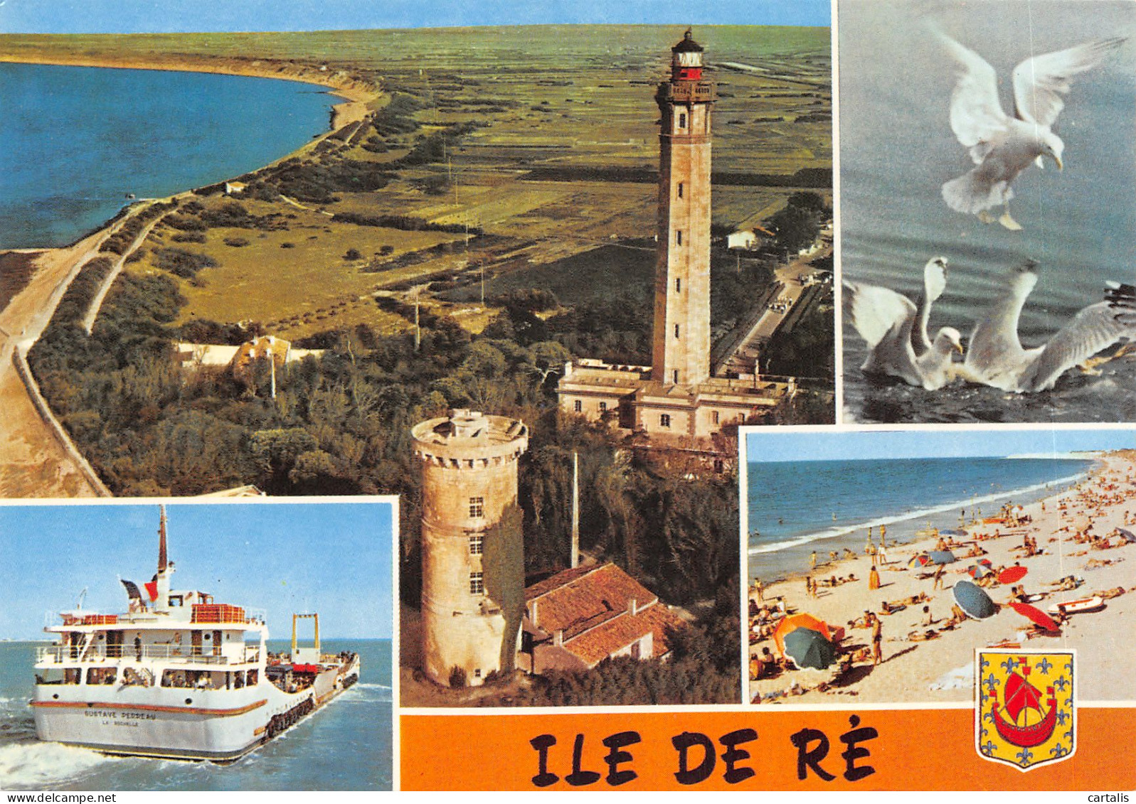 17-ILE DE RE-N 587-D/0165 - Ile De Ré