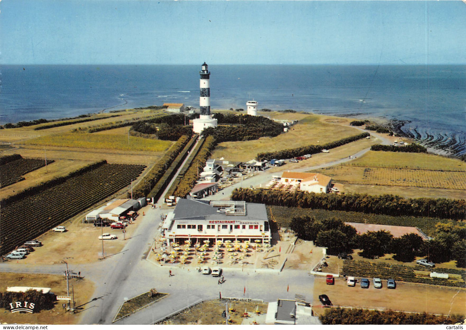 17-ILE D OLERON-PHARE DE CHASSIRON-N 587-D/0087 - Ile D'Oléron