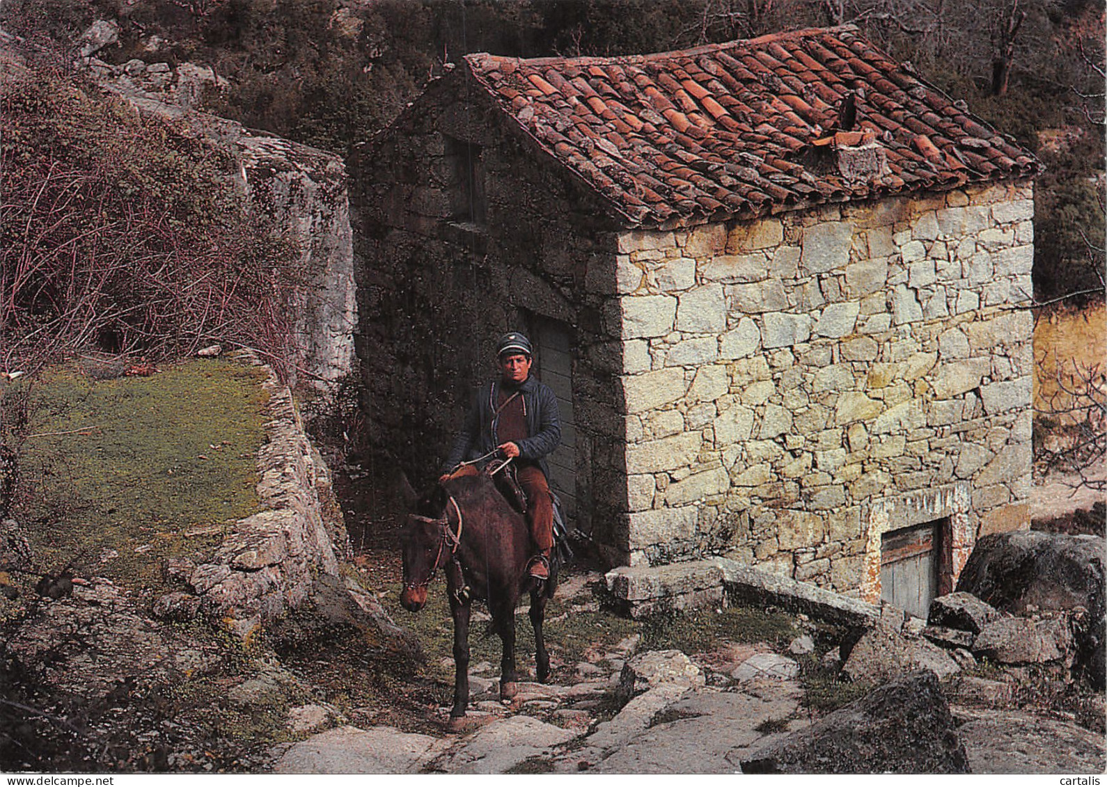 2A-SCENE CORSE-FACTEUR A CHEVAL-N 588-A/0301 - Altri & Non Classificati