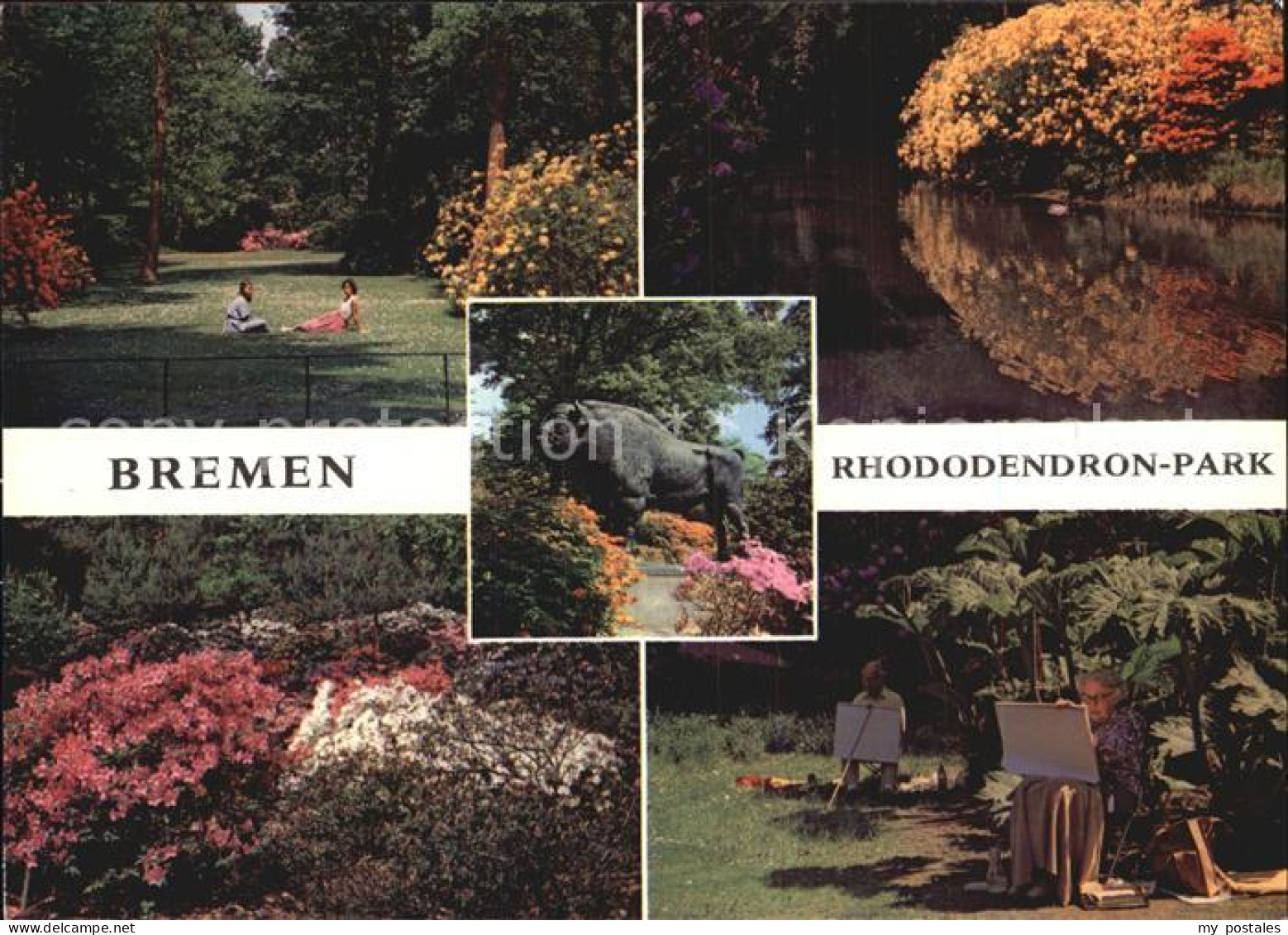 72518864 Bremen Rhododendron Park Arbergen - Bremen