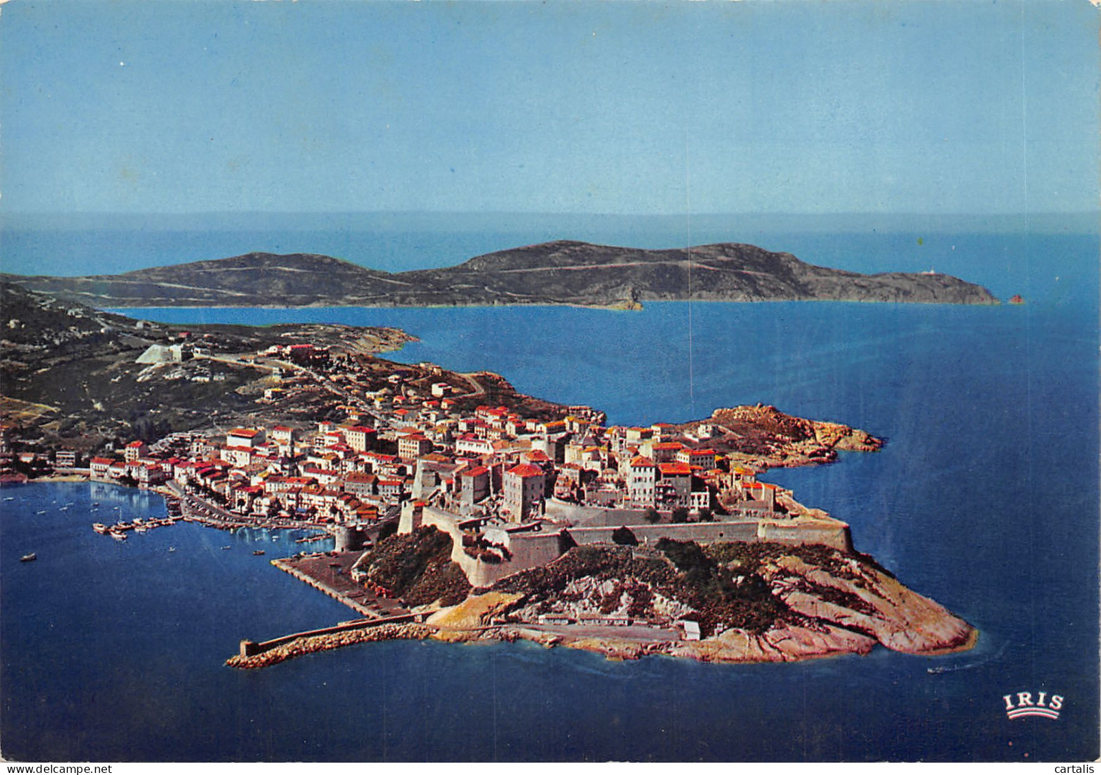 20-CALVI-N 588-A/0153 - Calvi