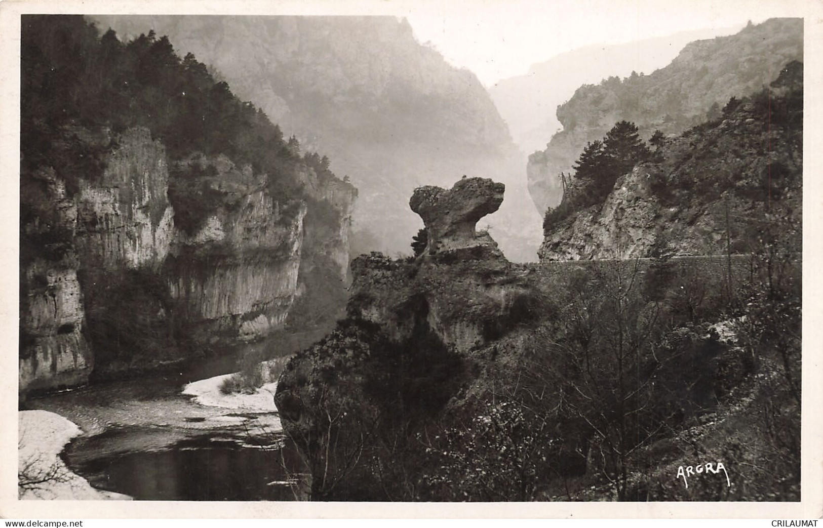 48-GORGES DU TARN LE CHAMPIGNON-N°T5309-H/0023 - Gorges Du Tarn