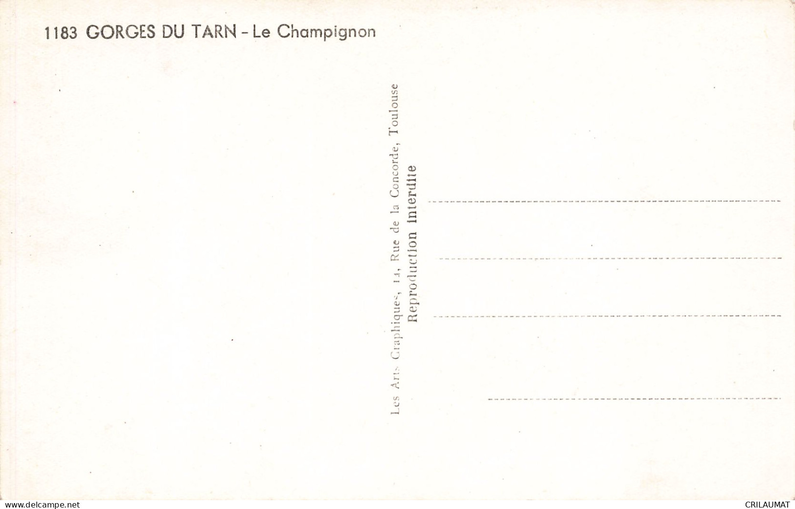48-GORGES DU TARN LE CHAMPIGNON-N°T5309-H/0023 - Gorges Du Tarn