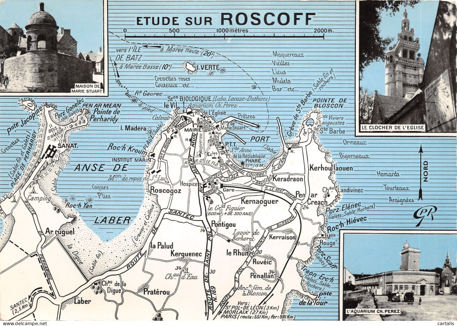 29-ROSCOFF-N 589-A/0211 - Roscoff