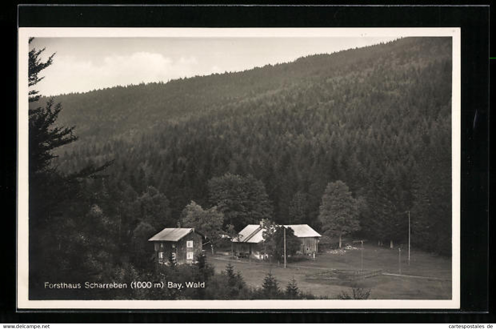 AK Scharreben /Bay. Wald, Blick Auf Forsthaus  - Hunting