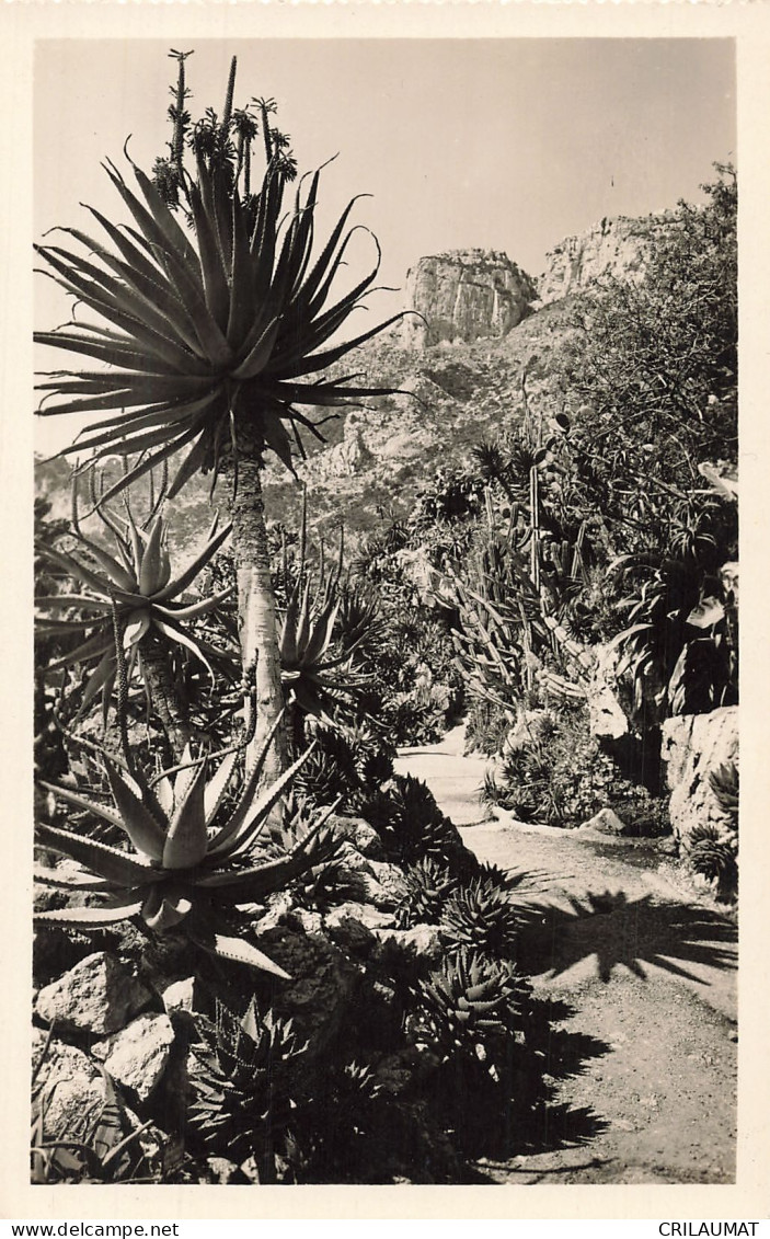 98-MONACO JARDIN EXOTIQUE-N°T5310-E/0109 - Sonstige & Ohne Zuordnung