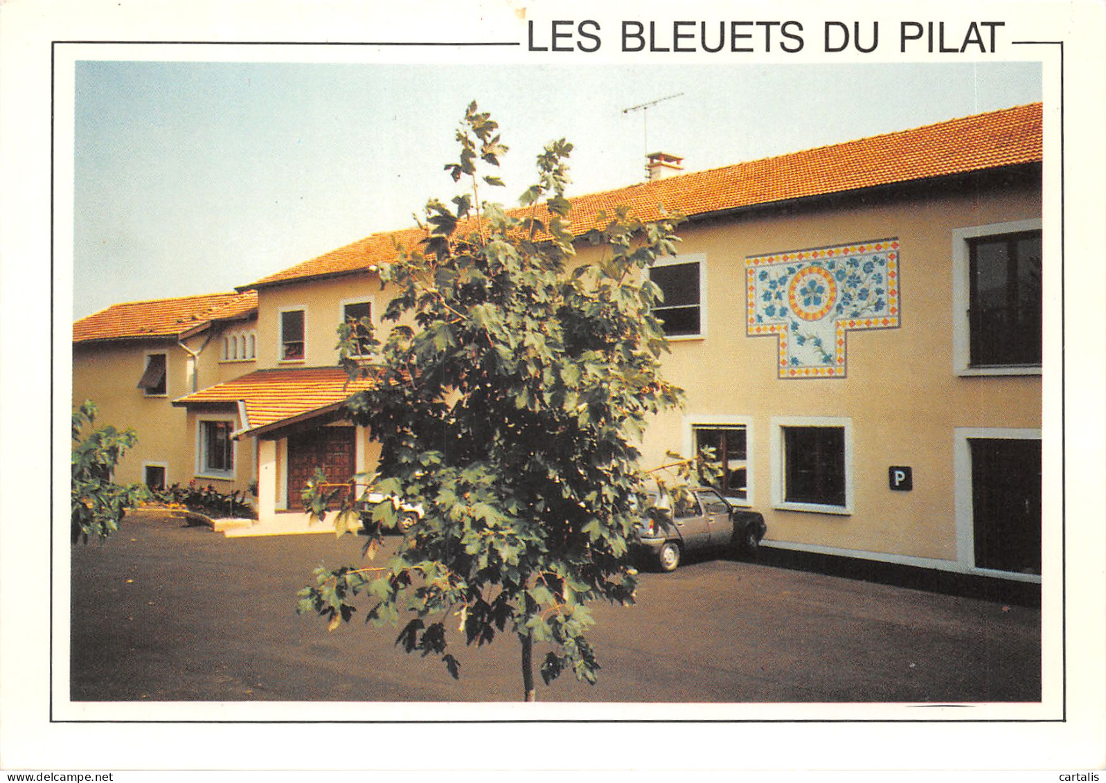 42-PELUSSIN-LES BLEUETS DU PILAT-N 590-B/0347 - Pelussin