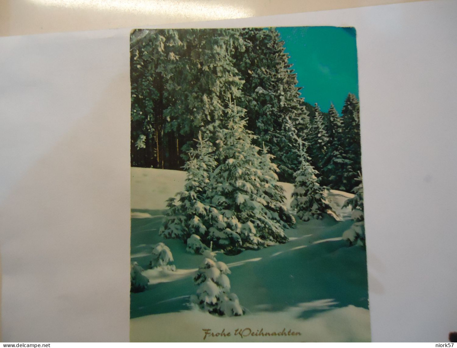 GERMANY   POSTCARDS  SNOWY FOREST - Autres & Non Classés