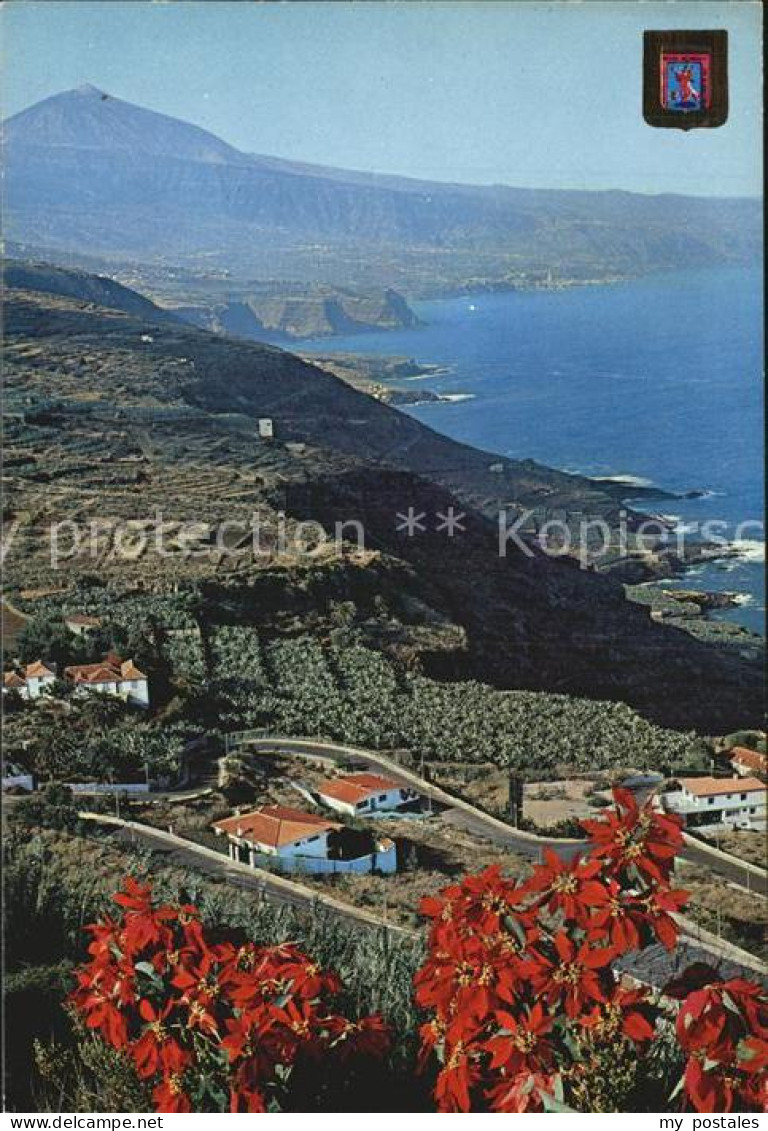 72518319 Santa Cruz De Tenerife Costa Norte Con Teide Y Puerto De La Cruz Santa  - Autres & Non Classés