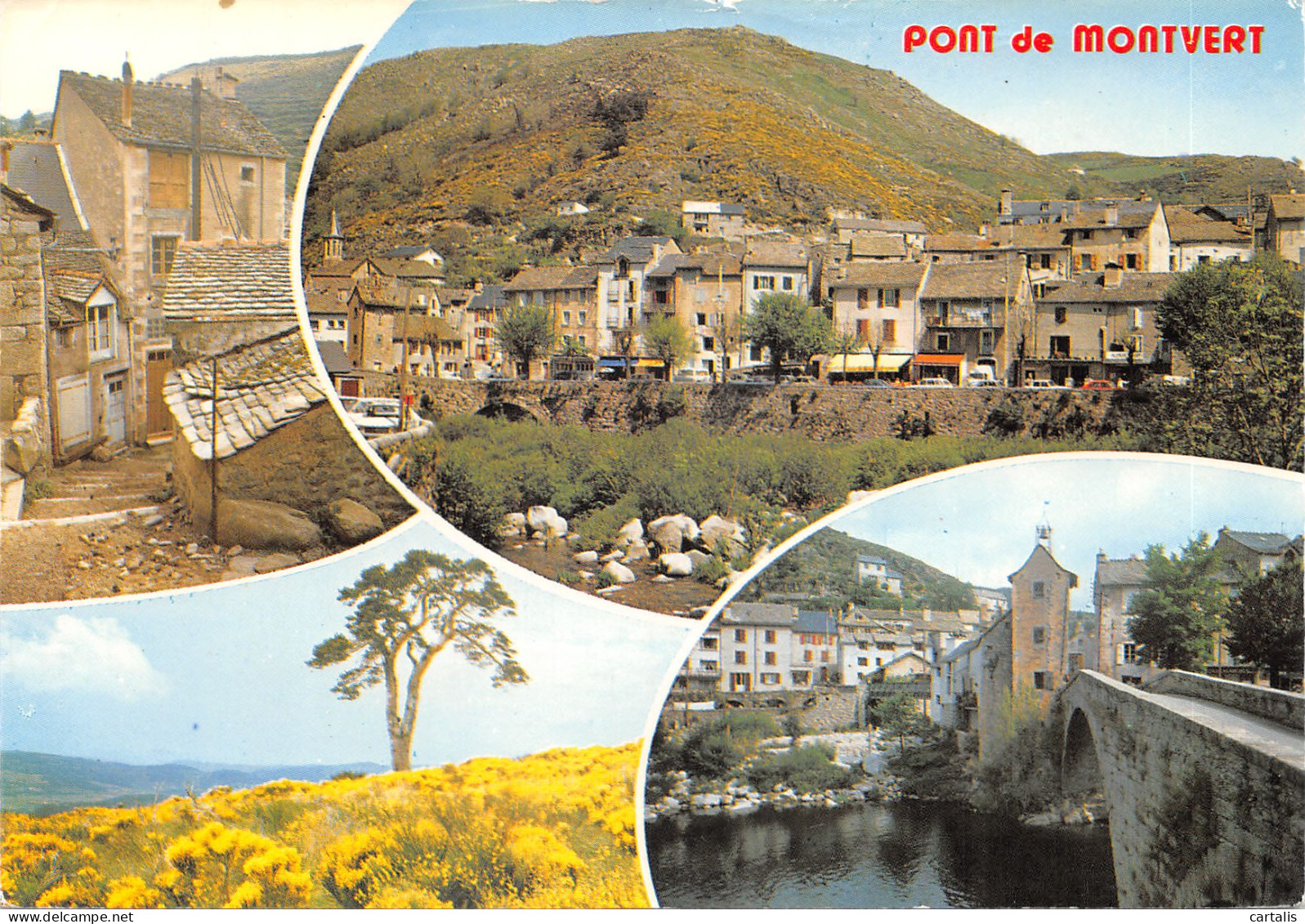 48-LE PONT DE MONTVERT-N 590-D/0285 - Le Pont De Montvert