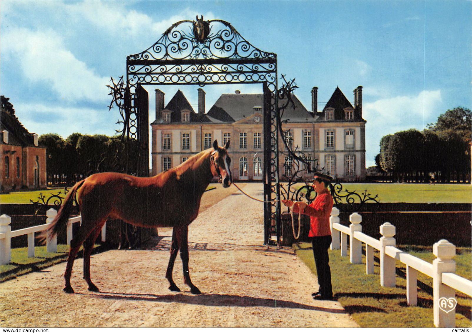 61-LE HARAS DU PIN-ETALON-N 591-C/0295 - Sonstige & Ohne Zuordnung