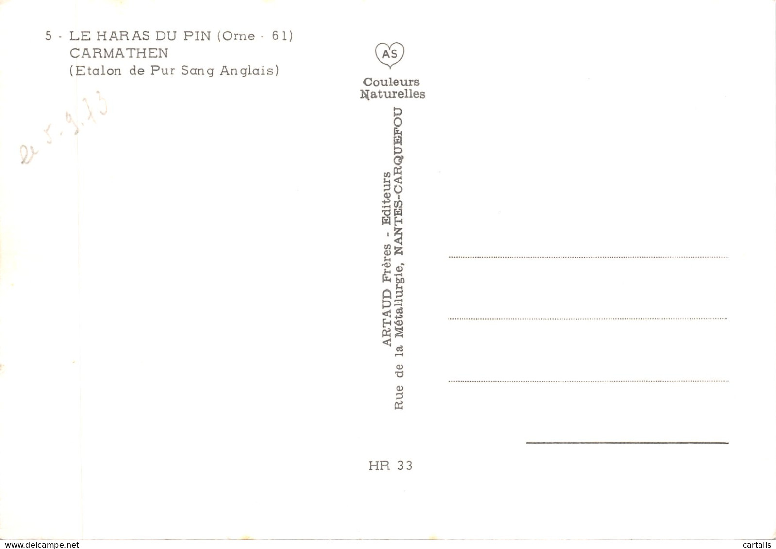 61-LE HARAS DU PIN-ETALON-N 591-C/0295 - Sonstige & Ohne Zuordnung