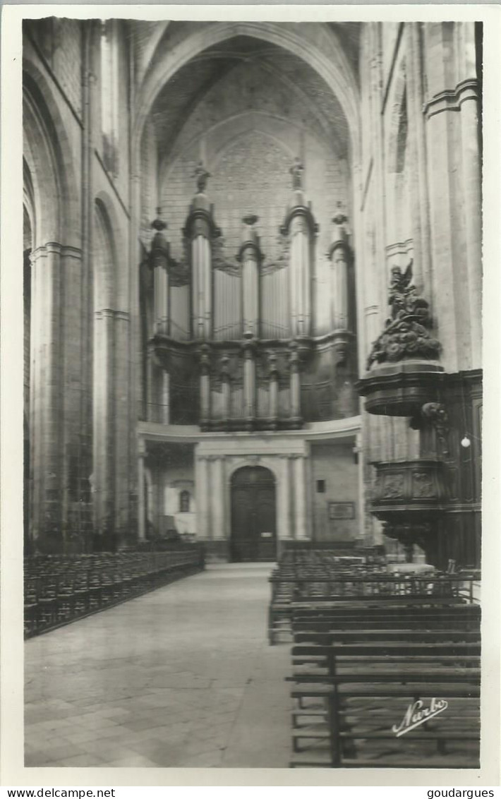 Saint- Maximin - La Basilique Les Grandes Orgues - 2960 Tuyaux - La Chaire En Bois Sculpté - (P) - Saint-Maximin-la-Sainte-Baume