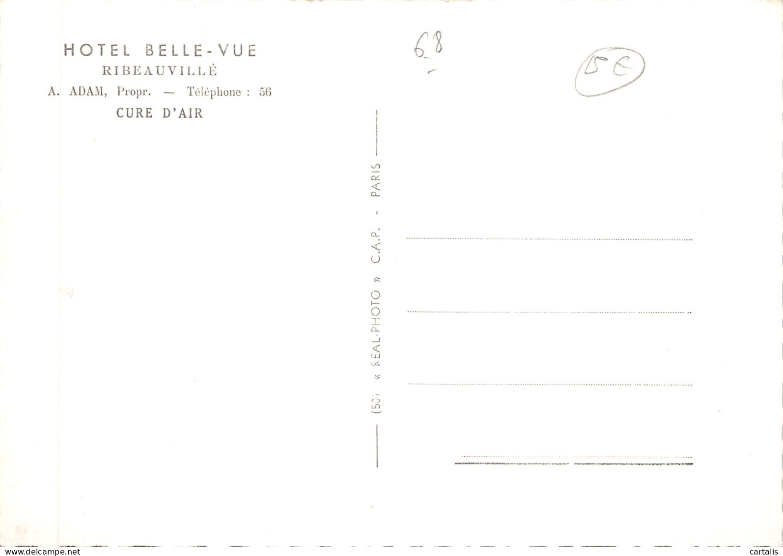 68-RIBEAUVILLE-HOTEL BELLE VUE-N 592-B/0361 - Ribeauvillé
