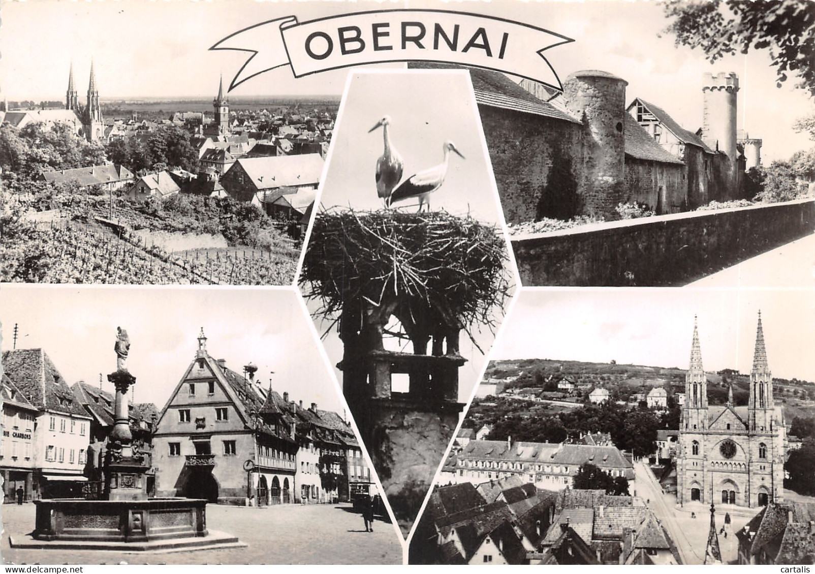 67-OBERNAI-N 592-B/0287 - Obernai