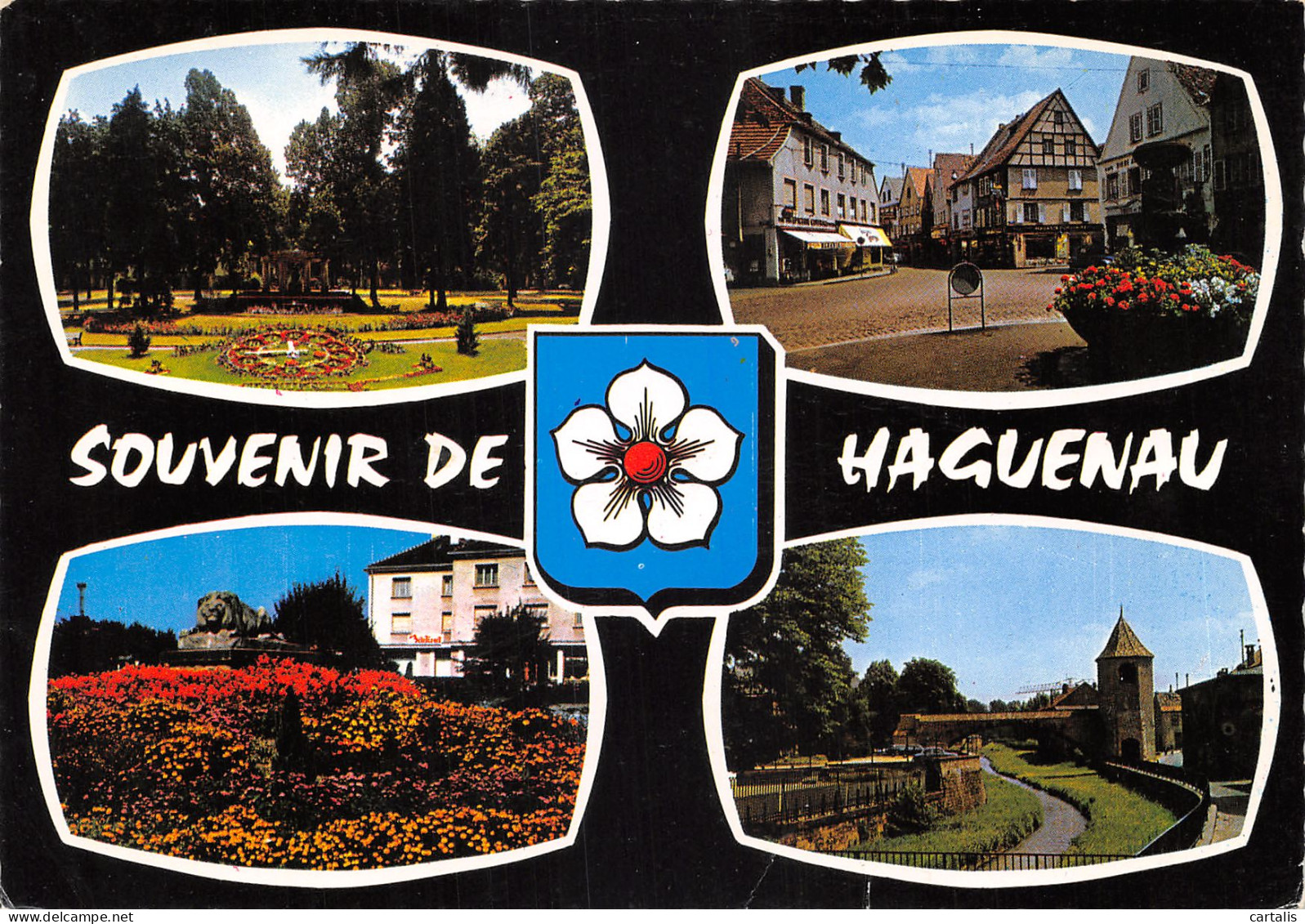 67-HAGUENAU-N 592-B/0239 - Haguenau