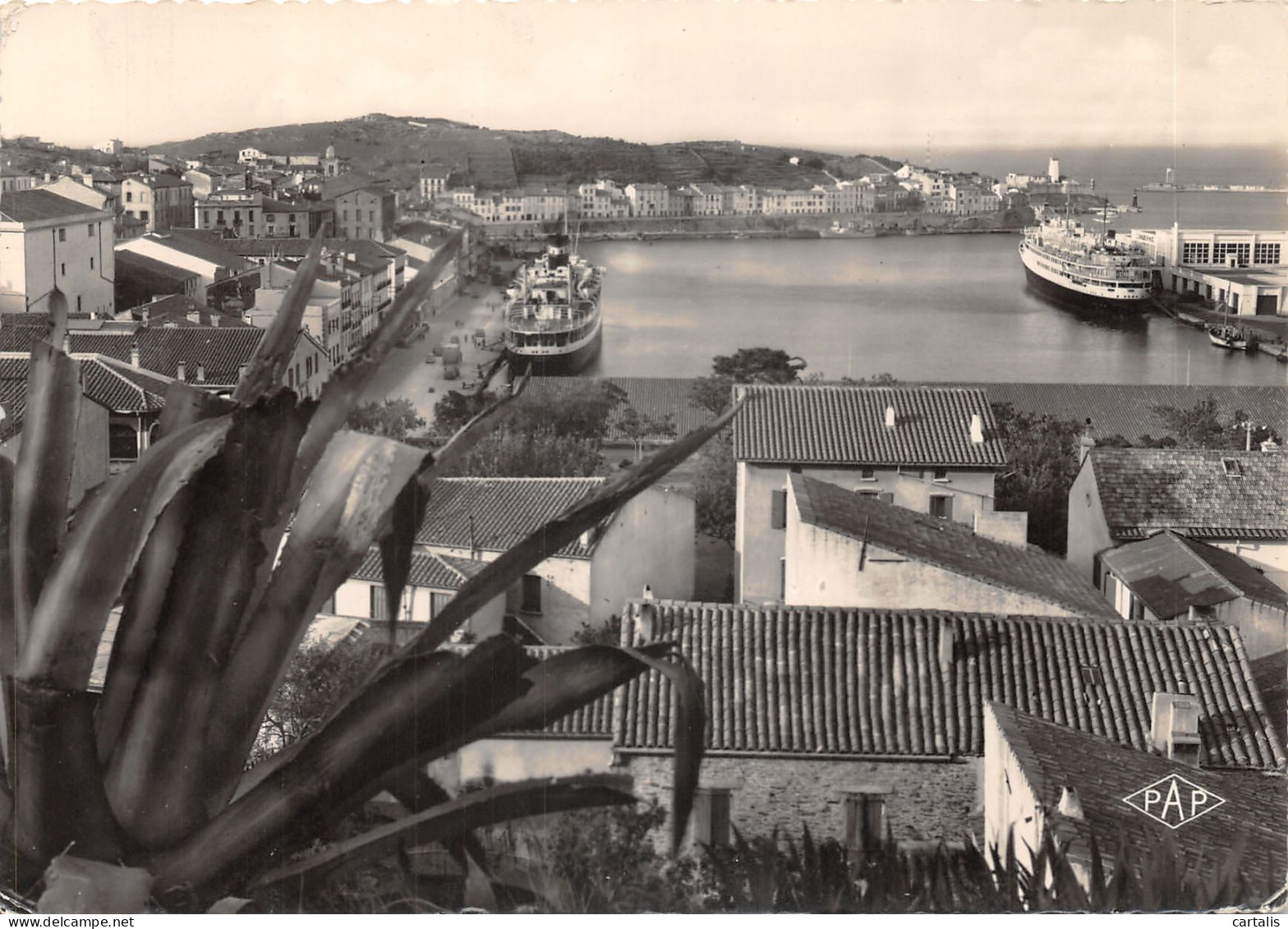 66-PORT VENDRES-N 592-A/0387 - Port Vendres