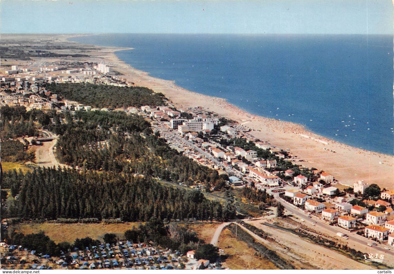 66-ARGELES SUR MER-N 592-A/0373 - Argeles Sur Mer