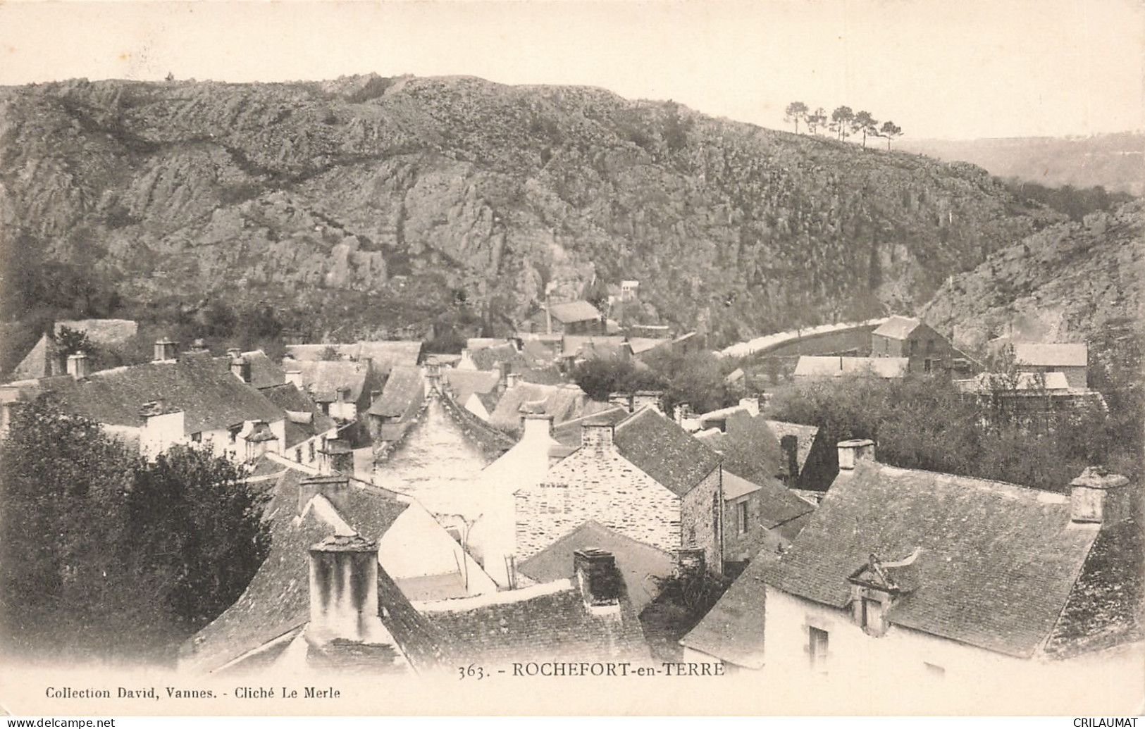 56-ROCHEFORT EN TERRE-N°T5311-H/0175 - Rochefort En Terre