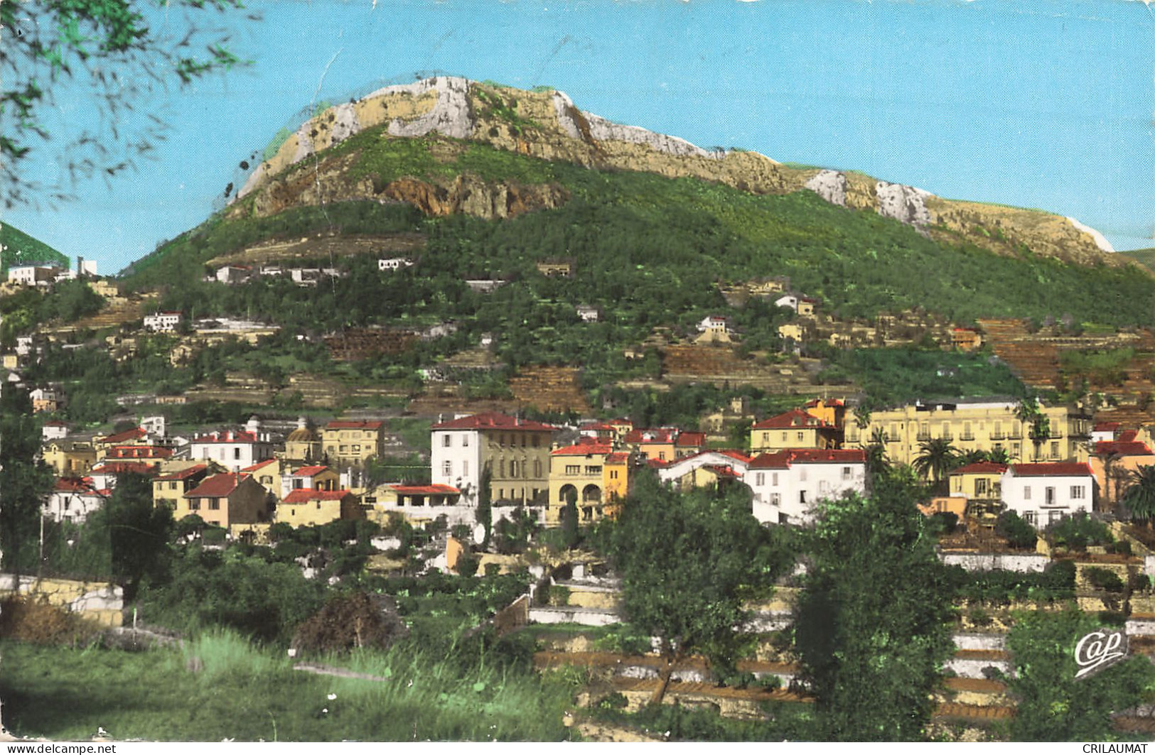 06-VENCE-N°T5311-H/0085 - Vence