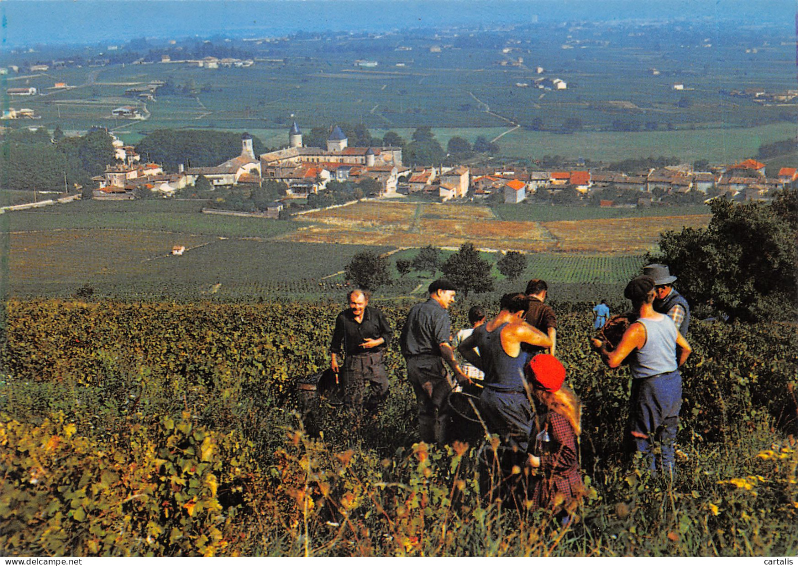 69-SAINT LAGER-VENDANGES-N 592-D/0111 - Other & Unclassified