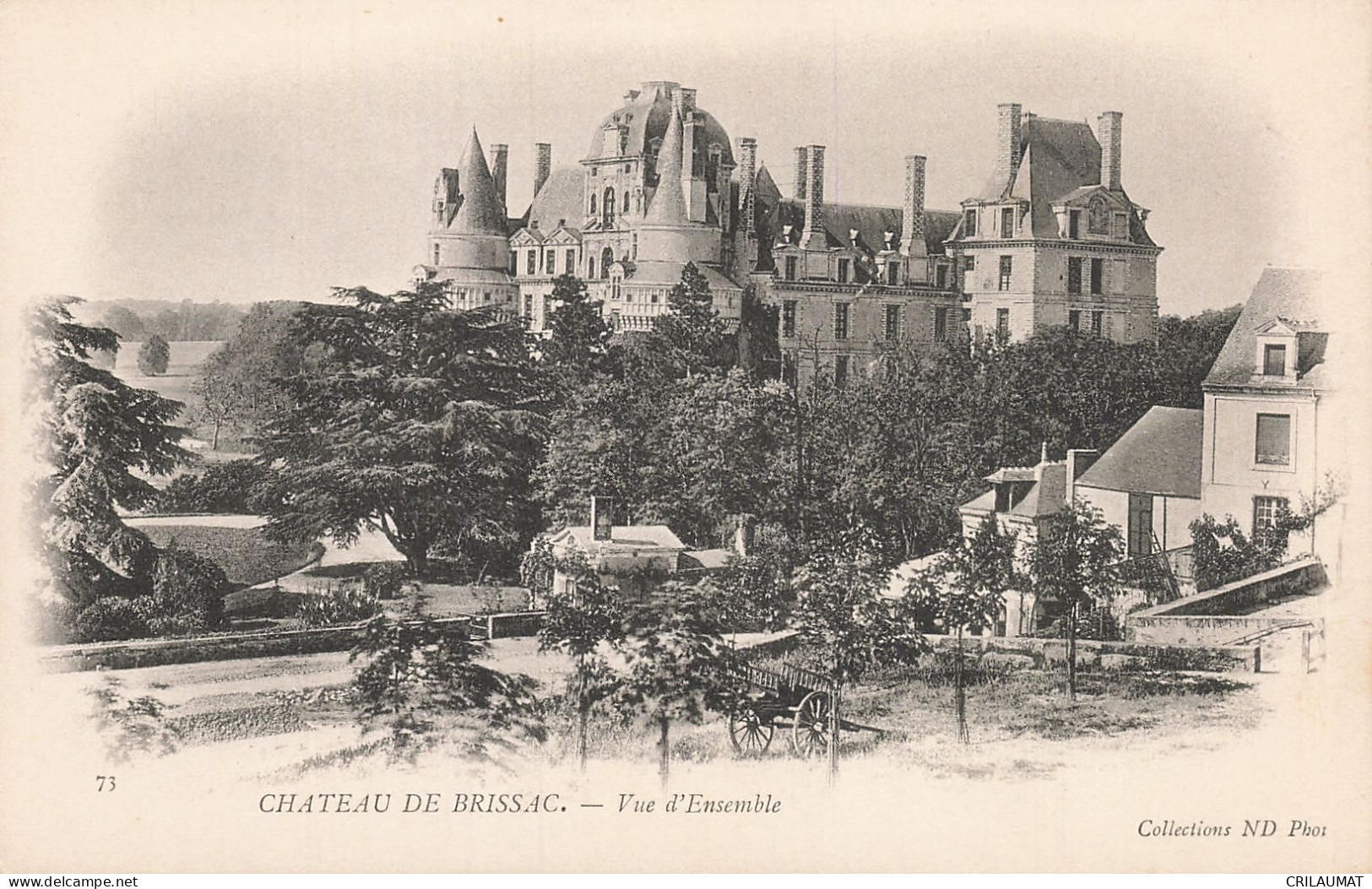49-BRISSAC LE CHATEAU-N°T5312-C/0243 - Other & Unclassified