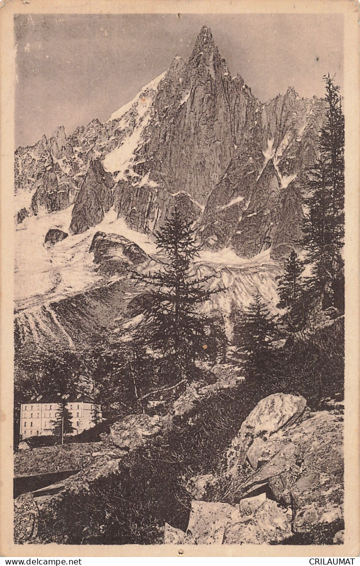 74-CHAMONIX AIGUILLE DU DRU-N°T5312-B/0397 - Chamonix-Mont-Blanc