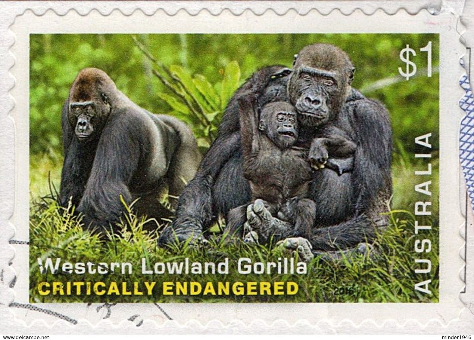 AUSTRALIA 2016 $1 Multicoloured, Endangered Wildlife-Western Lowlands Gorilla Self Adhesive Used - Oblitérés