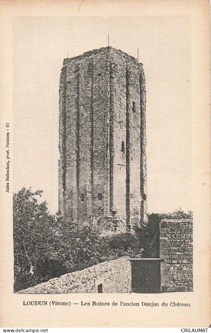 86-LOUDUN-N°T5312-A/0229 - Loudun