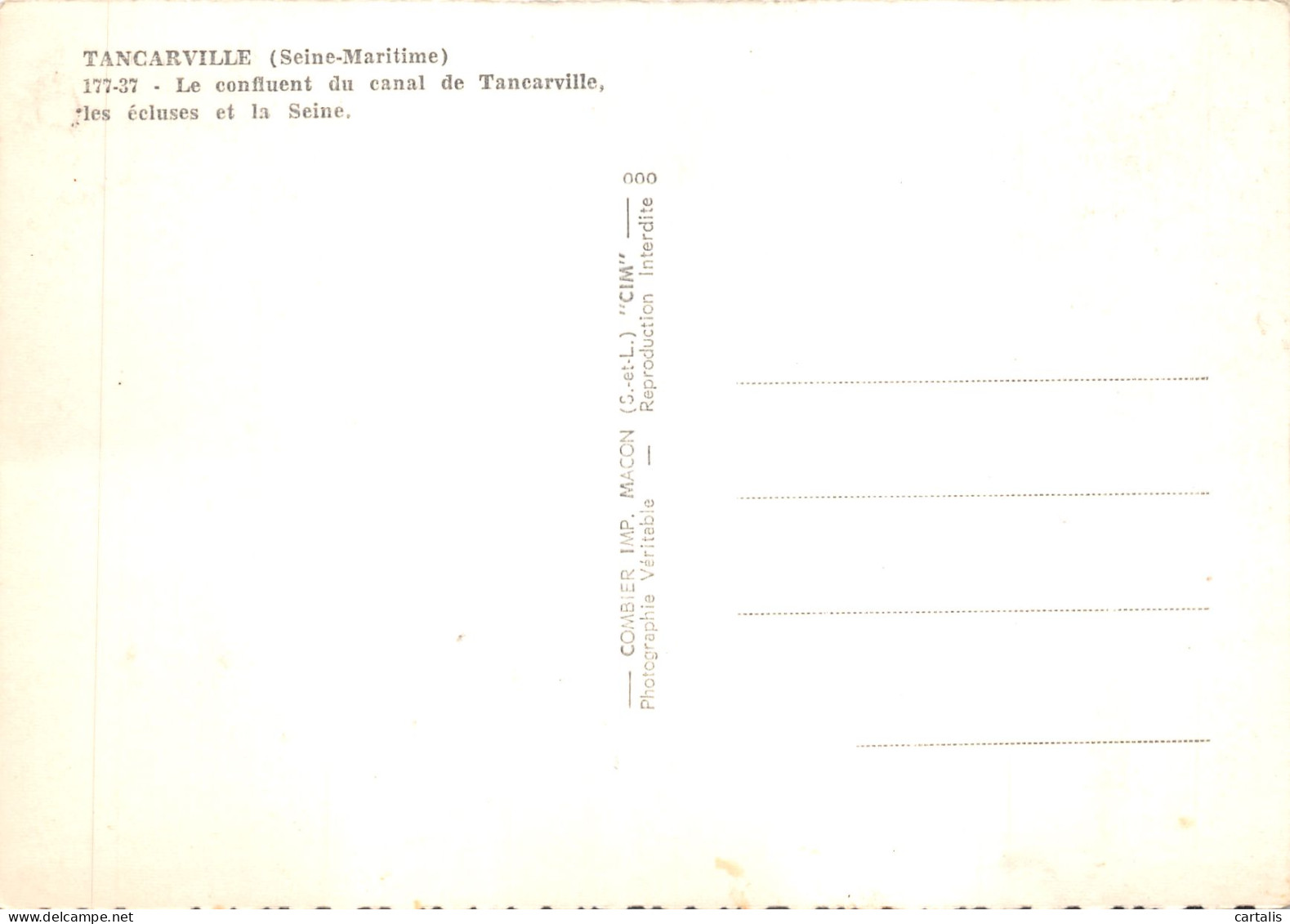 76-TANCARVILLE-N 593-C/0355 - Tancarville