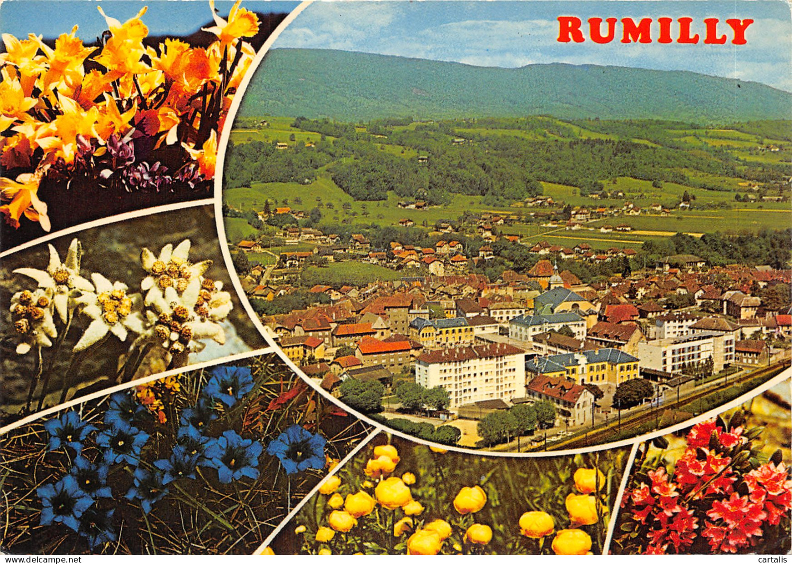 74-RUMILLY-N 593-B/0371 - Rumilly