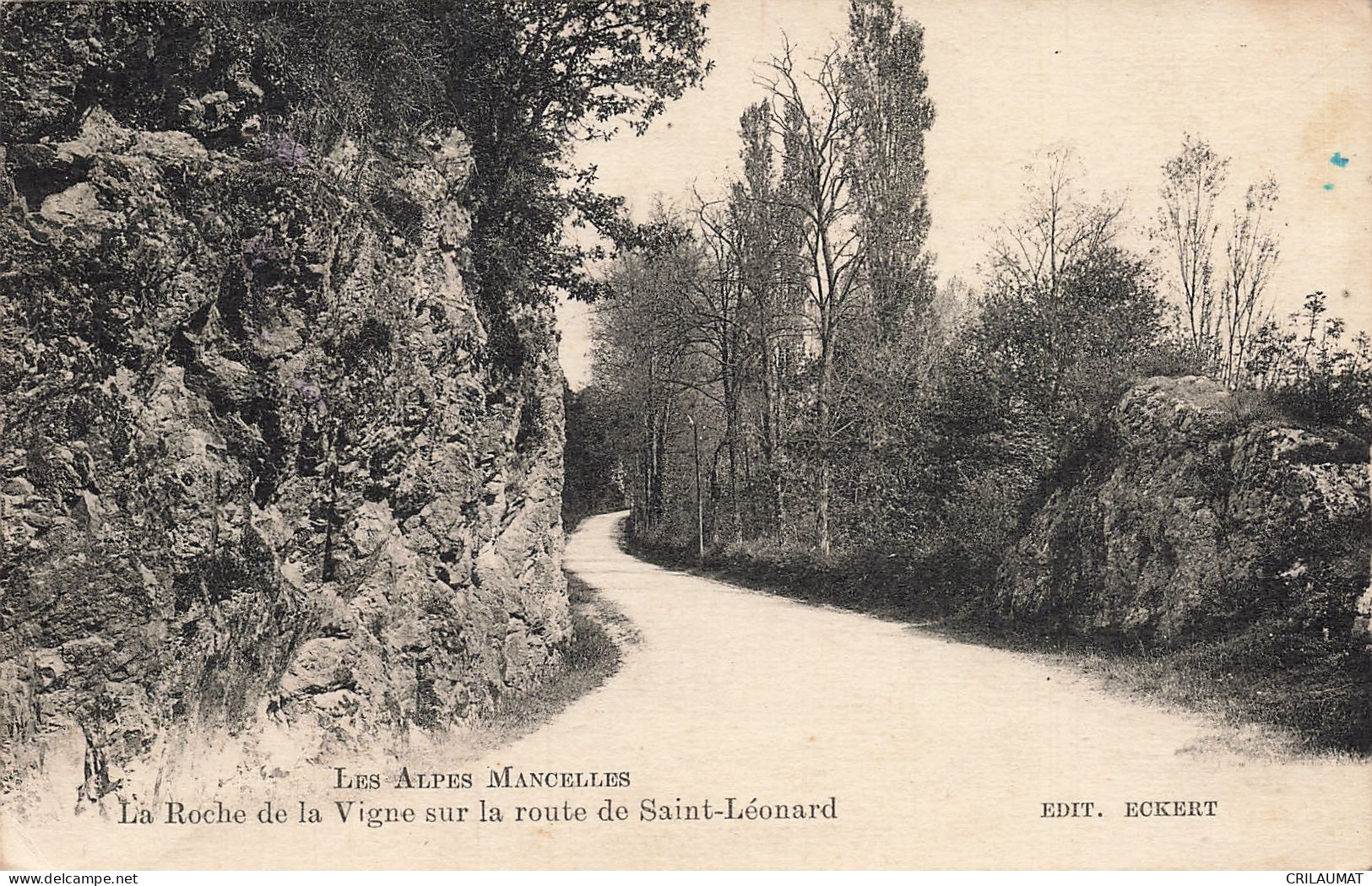 72-SAINT LEONARD DES BOIS LA ROCHE DE LA VIGNE-N°T5312-E/0151 - Other & Unclassified
