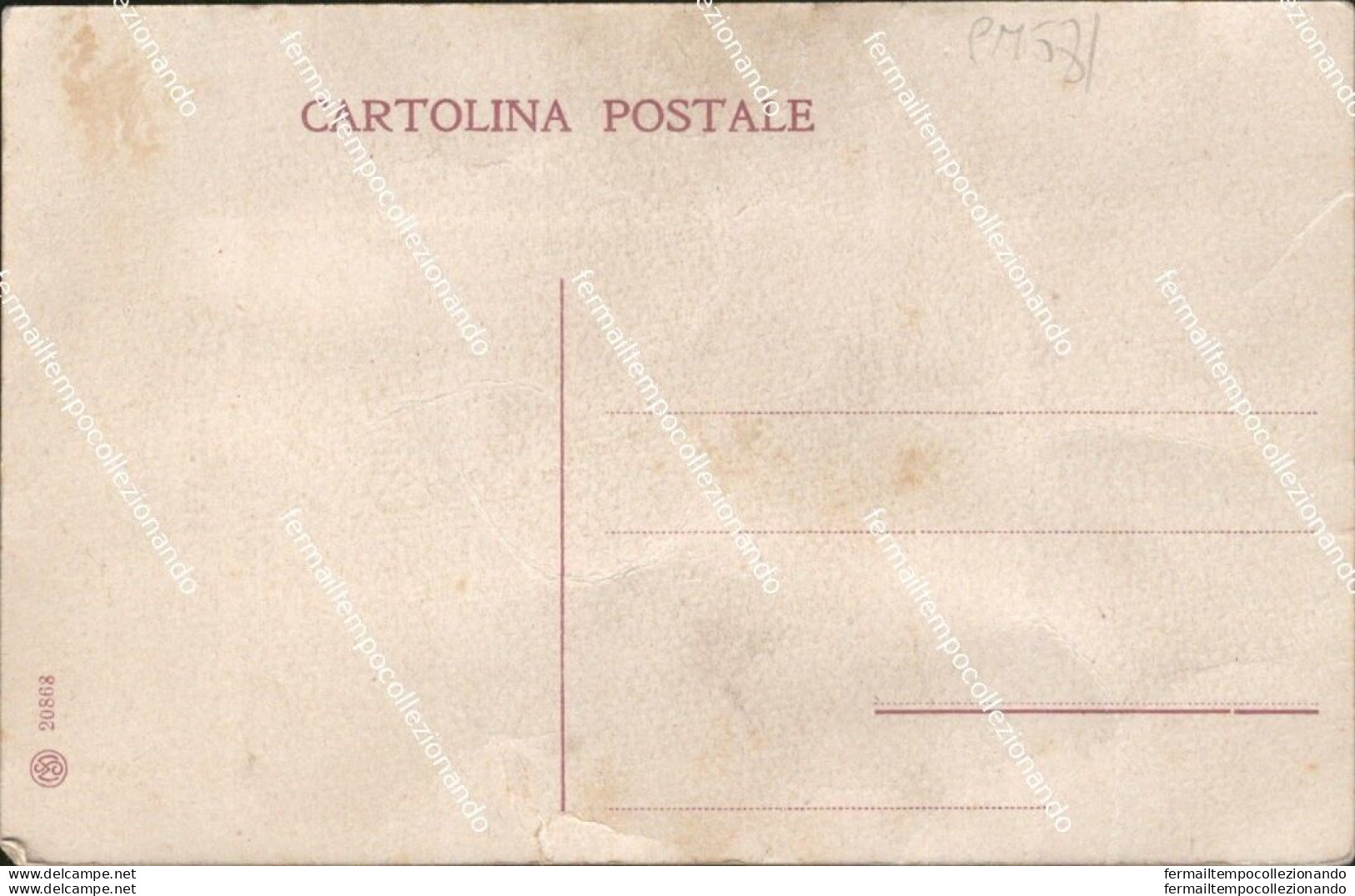 Cm581 Cartolina Rosta Villa Viola  Provincia Di Torino Piemonte - Autres & Non Classés