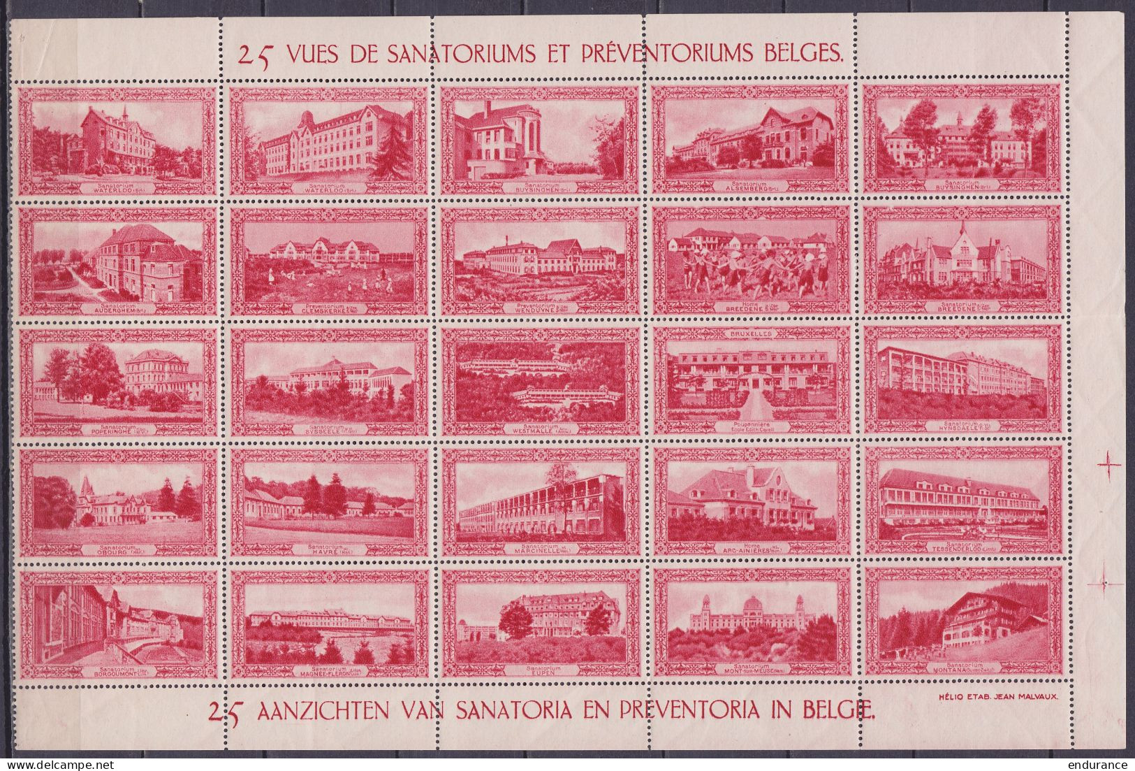 Lot 25 Vignettes "Sanatoriums Et Péventoriums Belges" ** - Erinofilia [E]