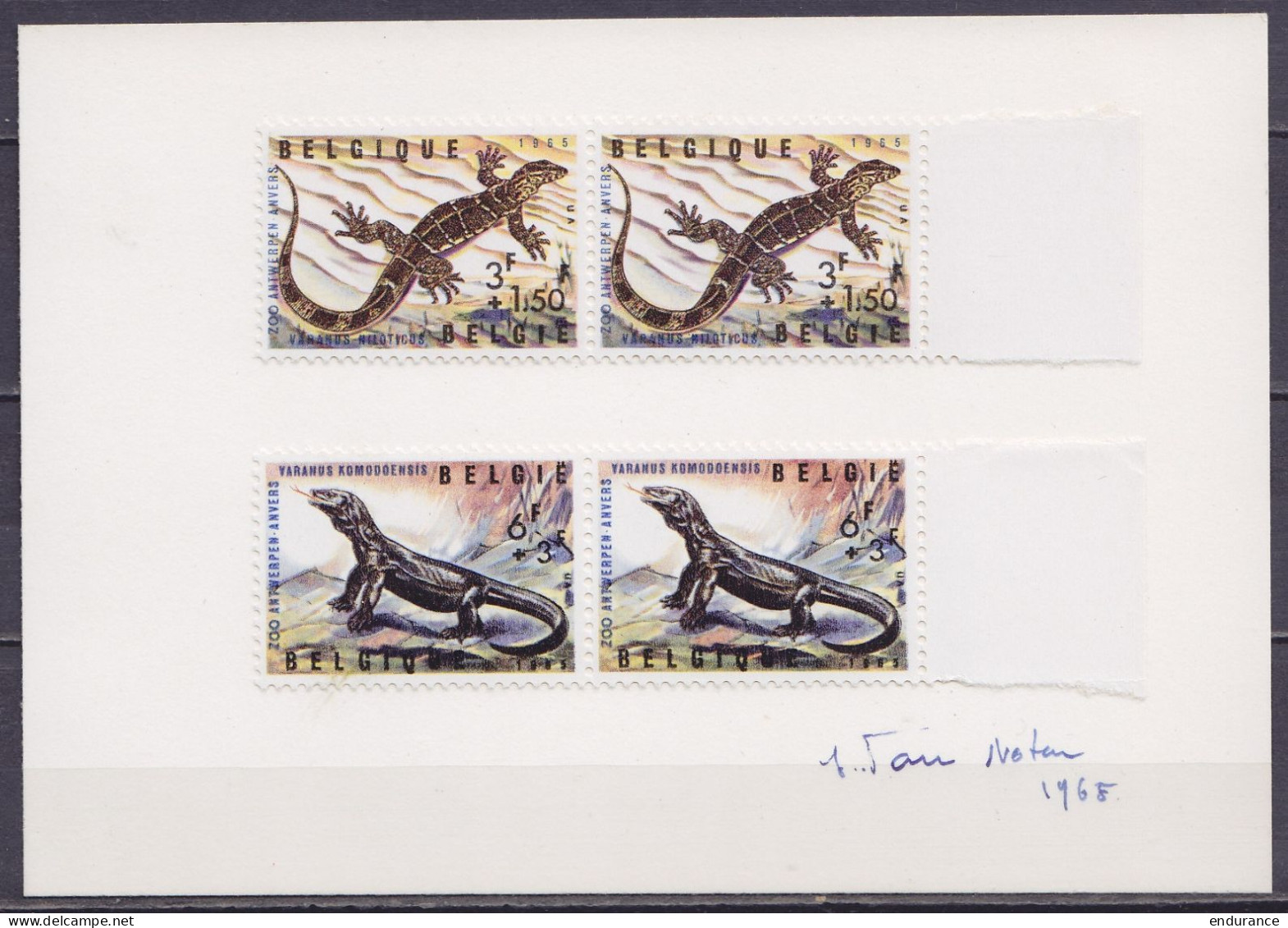 Paires N°1346+1347 (reptiles Du Zoo D'Anvers) Sur Carte Signée Jean Van Noten 1968 - Lettres & Documents