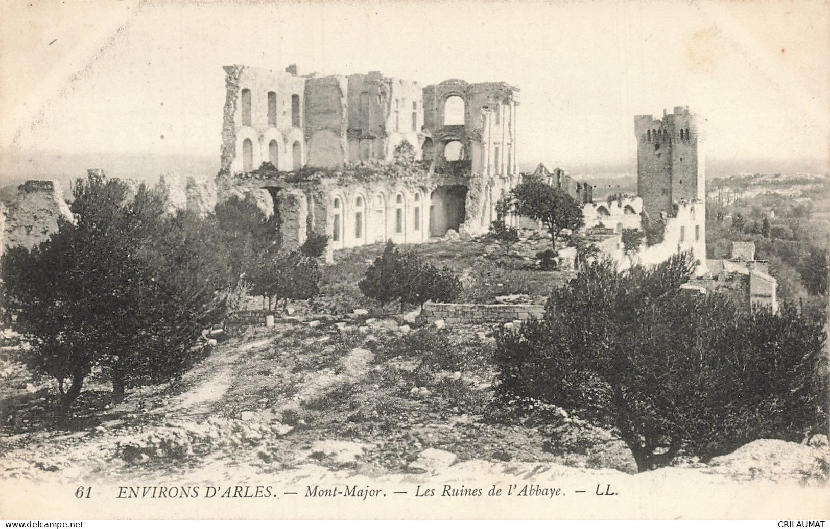 13-MONT MAJOR LES RUINES DE L ABBAYE-N°T5313-E/0225 - Other & Unclassified